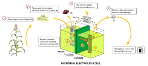 Bio-Hydrogen plant