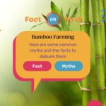Myths about Bamboo Farming