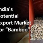 Bamboo Export
